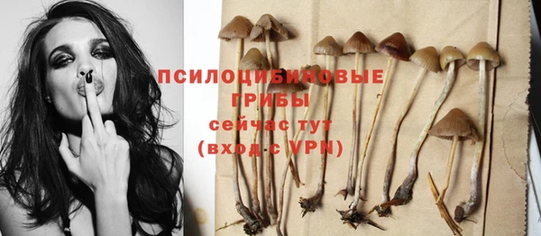 мет Балахна