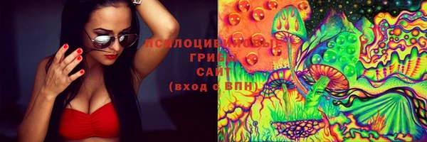 PSILOCYBIN Арсеньев